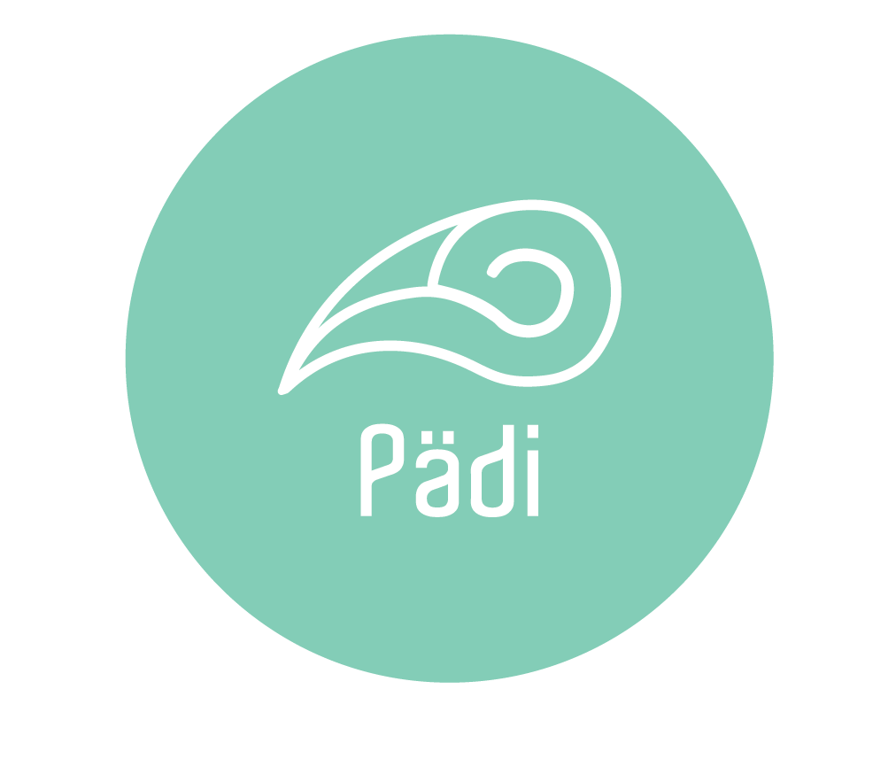 logo padi-02